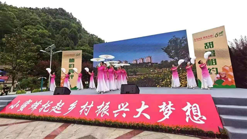 B  詳情圖 (12).jpg